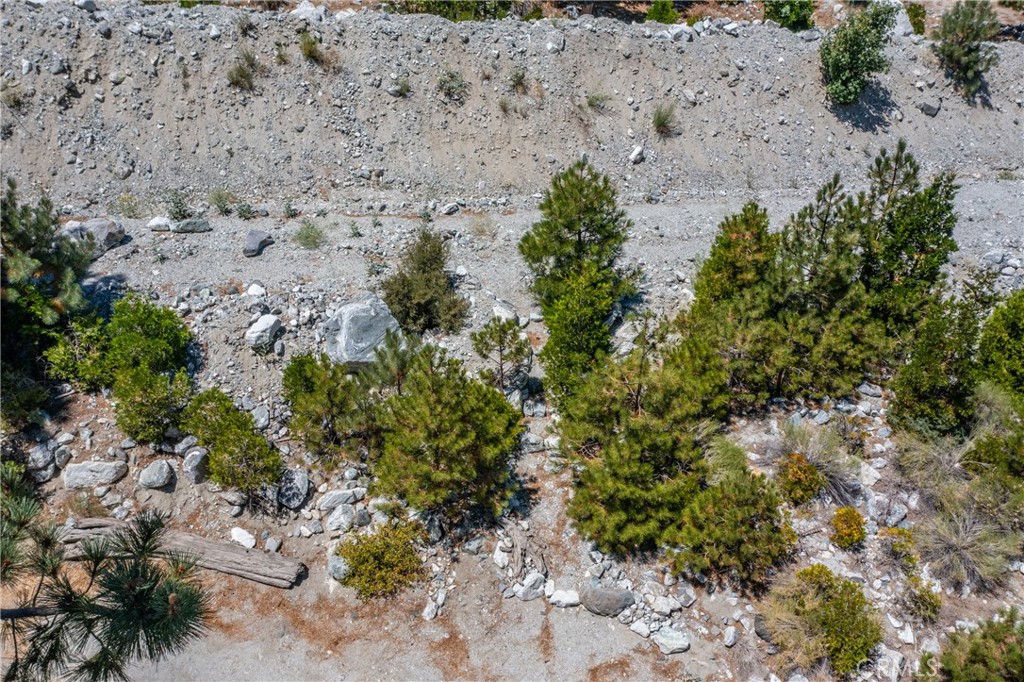 0 Quercus Lane Forest Falls, CA 92339 - Photo 11 of 24 a view of a plants with lots of bushes