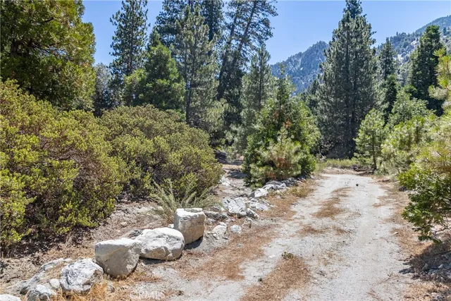 a view of a yard with a tree