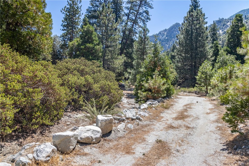 0 Quercus Lane Forest Falls, CA 92339 - Photo 15 of 24 a view of a outdoor space and a yard