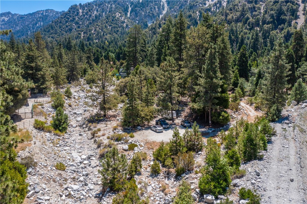 0 Quercus Lane Forest Falls, CA 92339 - Photo 18 of 24 a view of a covered with trees in a forest