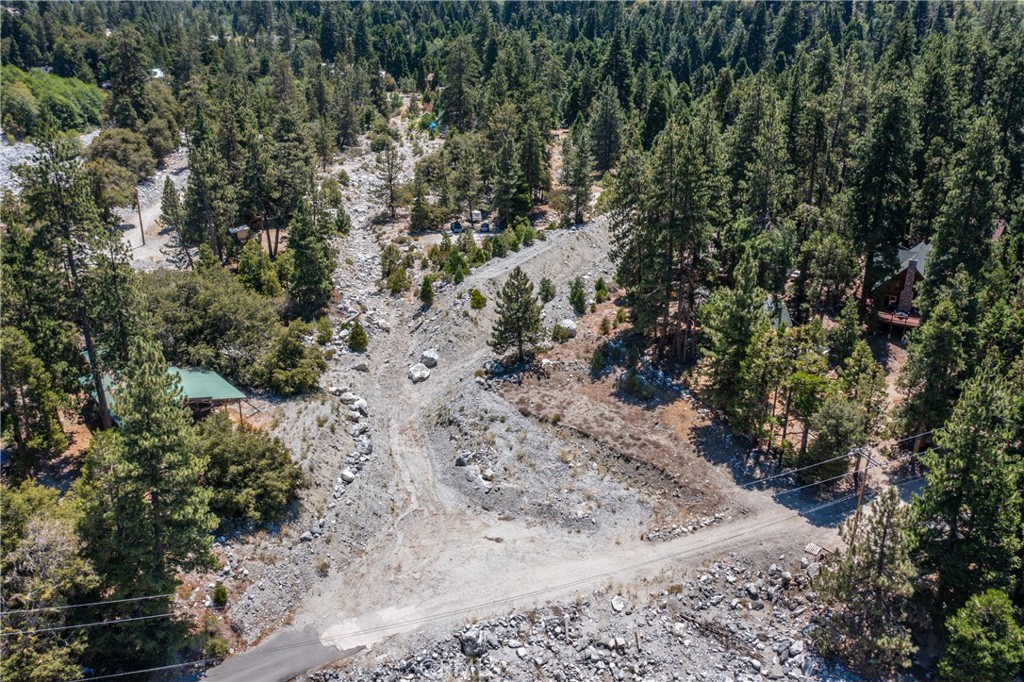 0 Quercus Lane Forest Falls, CA 92339 - Photo 20 of 24 a view of a forest with trees in the background