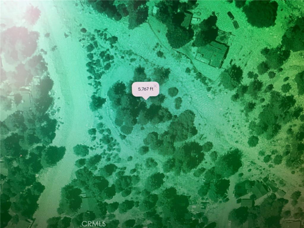 0 Quercus Lane Forest Falls, CA 92339 - Photo 22 of 24 a view of a lush green yard with large trees