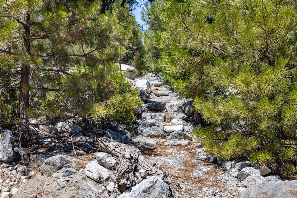 0 Quercus Lane Forest Falls, CA 92339 - Photo 5 of 24 a backyard of a house with lots of green space
