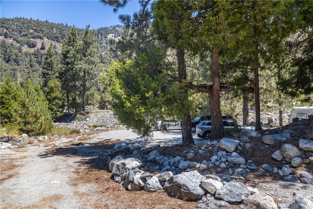 0 Quercus Lane Forest Falls, CA 92339 - Photo 6 of 24 a view of a backyard with large trees