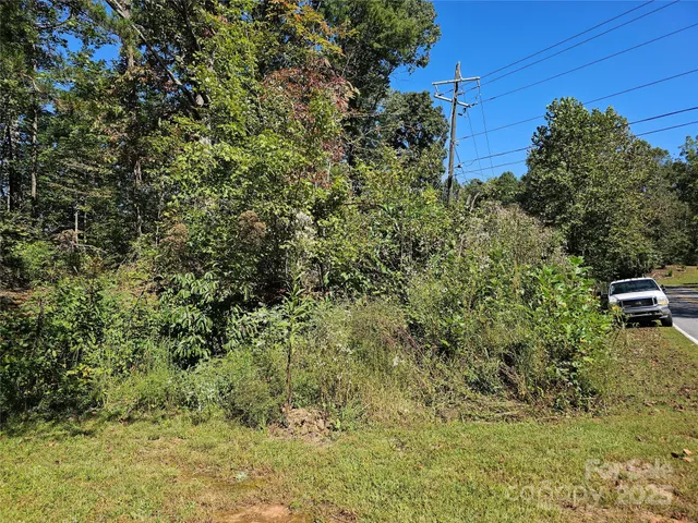 a view of a yard with plants