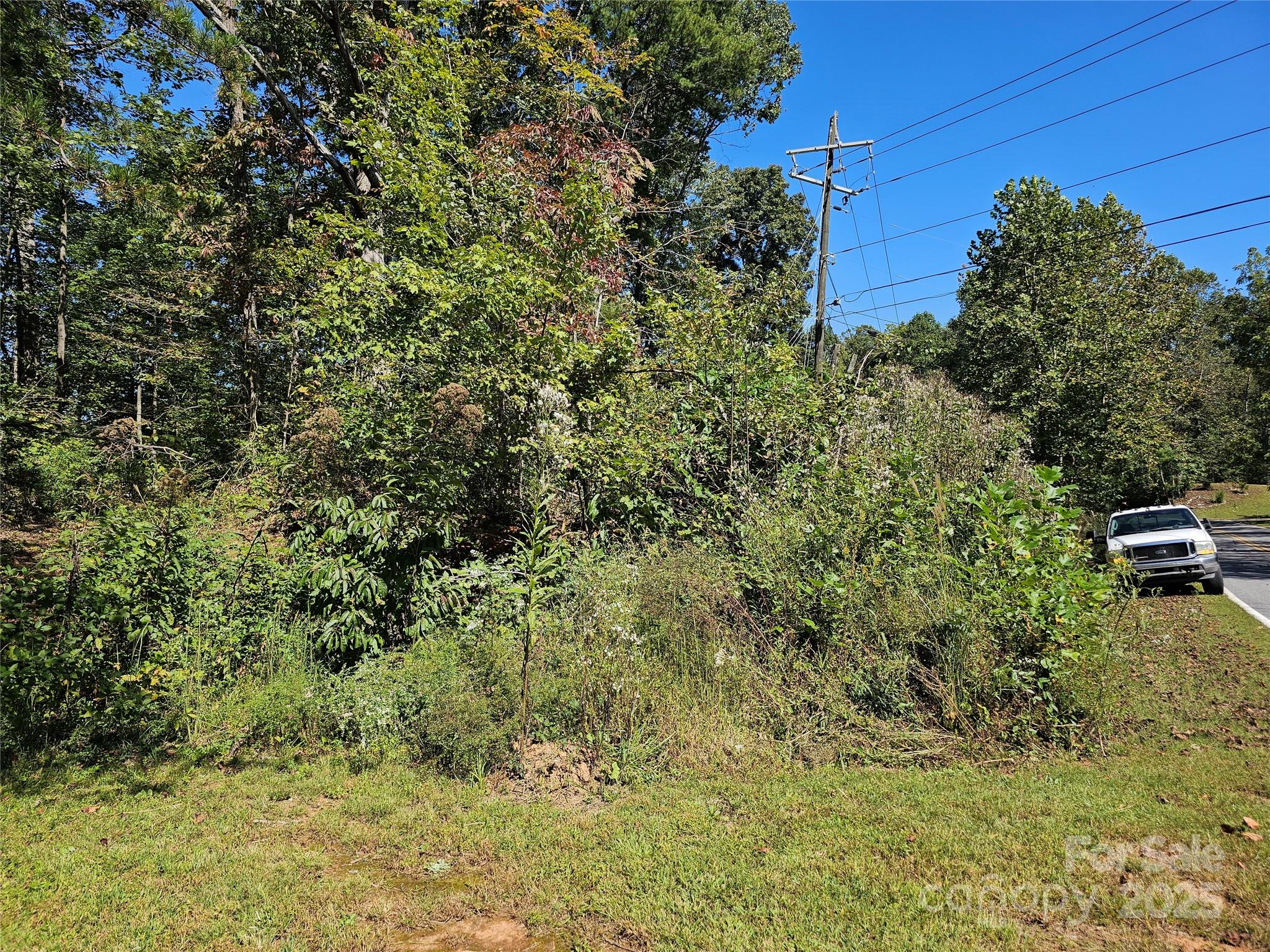 Tbd Tbd Lackey Town Road Old Fort, NC 28762 - Photo 5 of 6 a view of a yard with plants