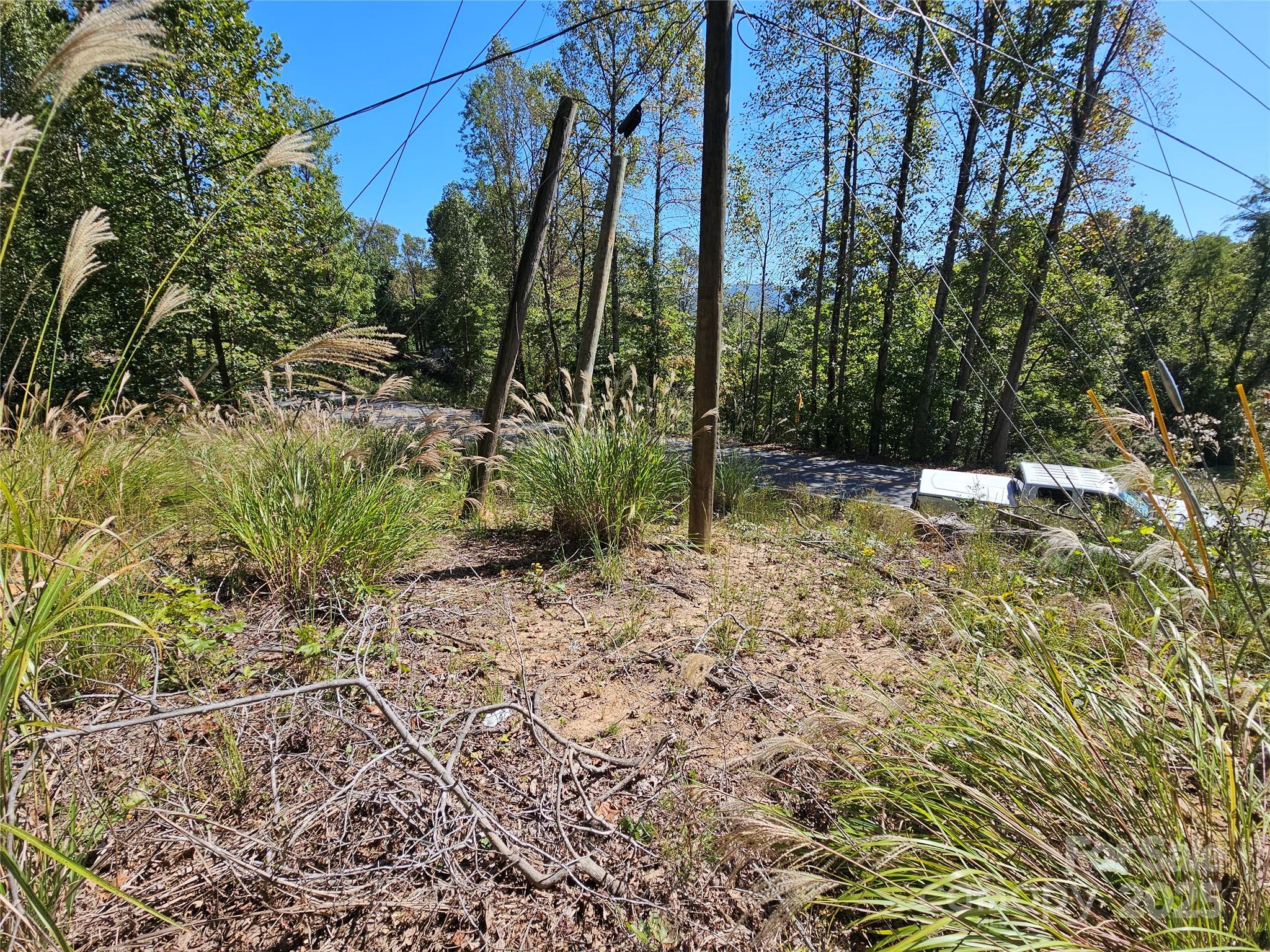 Tbd Tbd Lackey Town Road Old Fort, NC 28762 - Photo 6 of 6 a backyard of a house with lots of green space