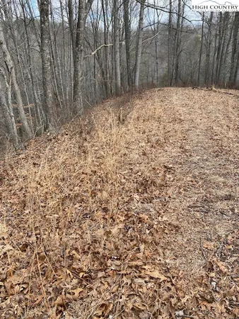 $14,500 | Lot 56 Happy Eden Drive, Grassy Creek, NC 28631