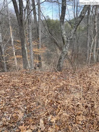 $14,500 | Lot 56 Happy Eden Drive, Grassy Creek, NC 28631