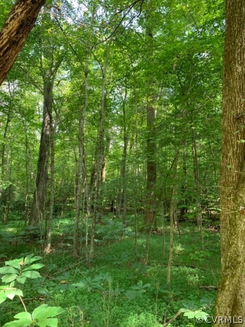 -lot Fredericks Hall Road Mineral, VA 23117 - Photo 1 of 2 Gallery Image 1