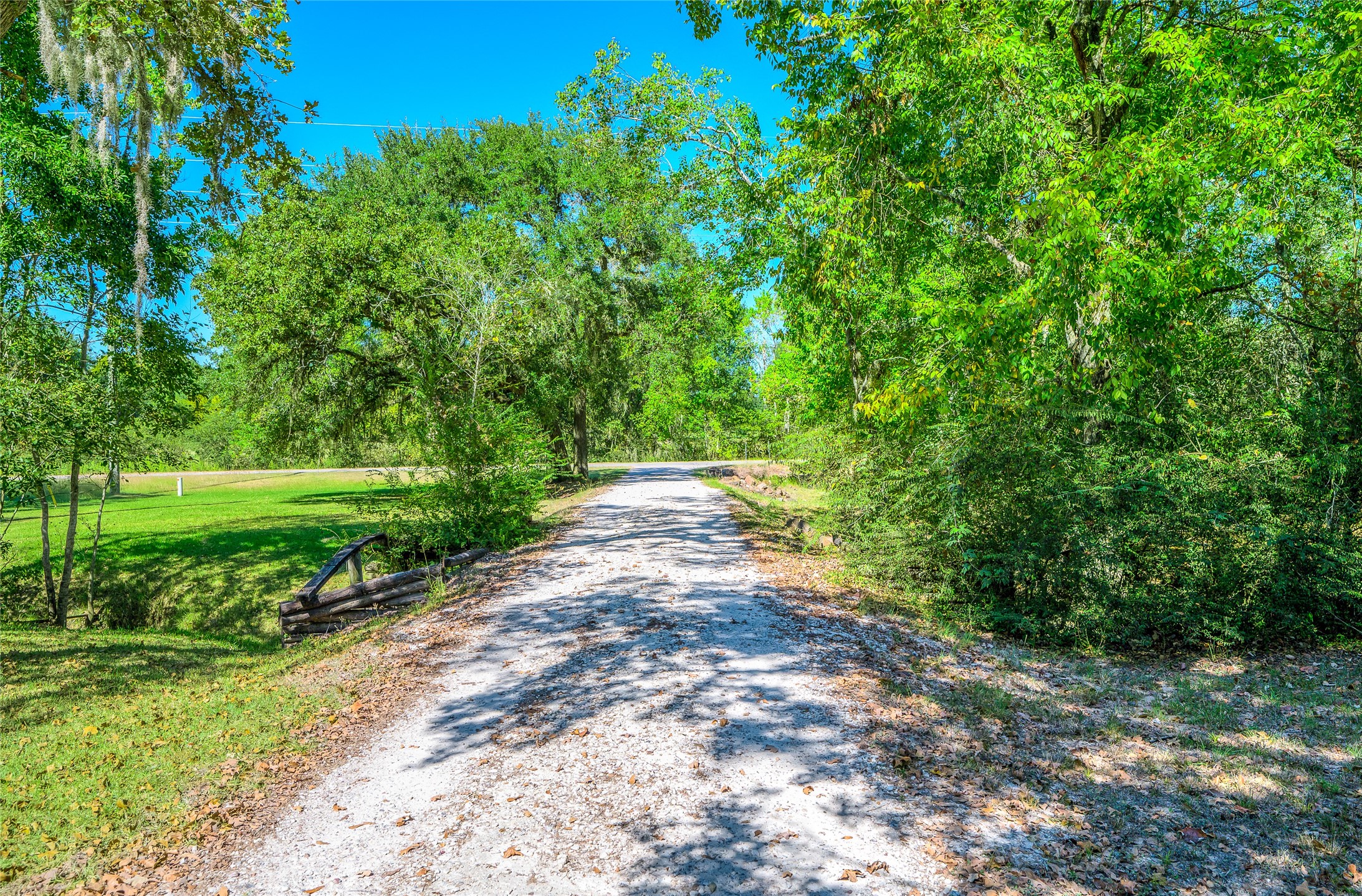 27843 Krezdorn Road Hockley, TX 77447 - Photo 12 of 48