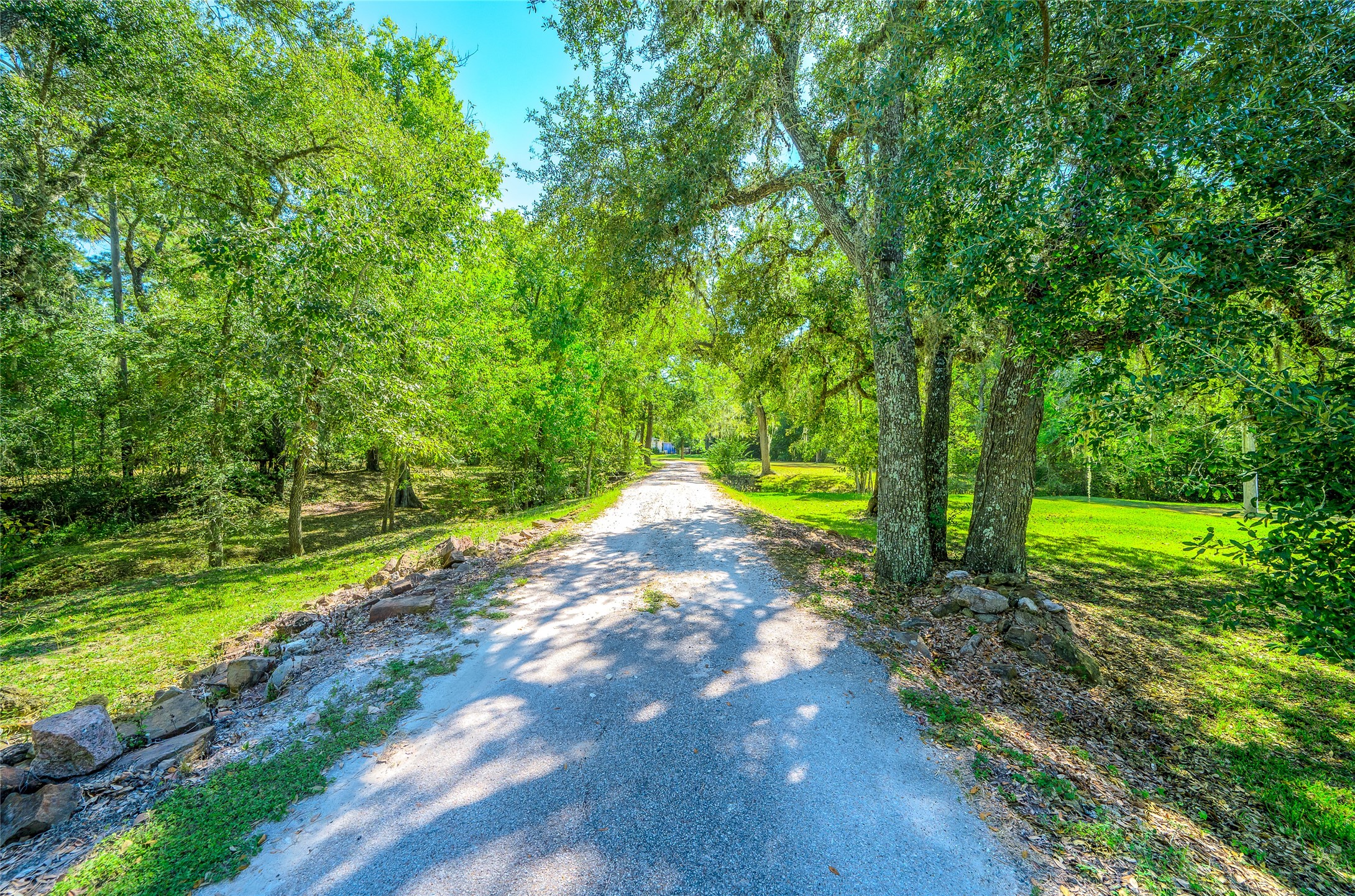 27843 Krezdorn Road Hockley, TX 77447 - Photo 13 of 48