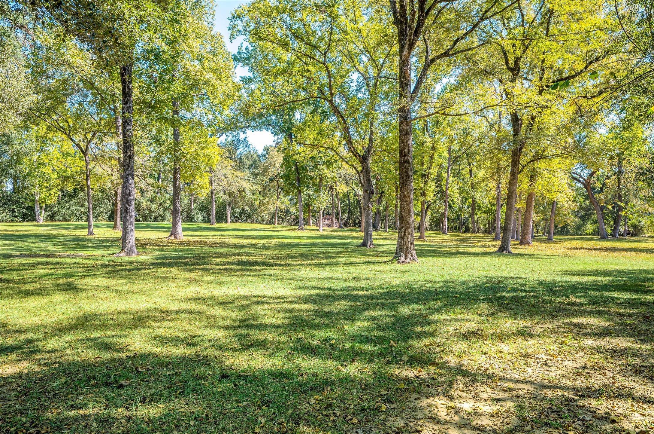 27843 Krezdorn Road Hockley, TX 77447 - Photo 17 of 48
