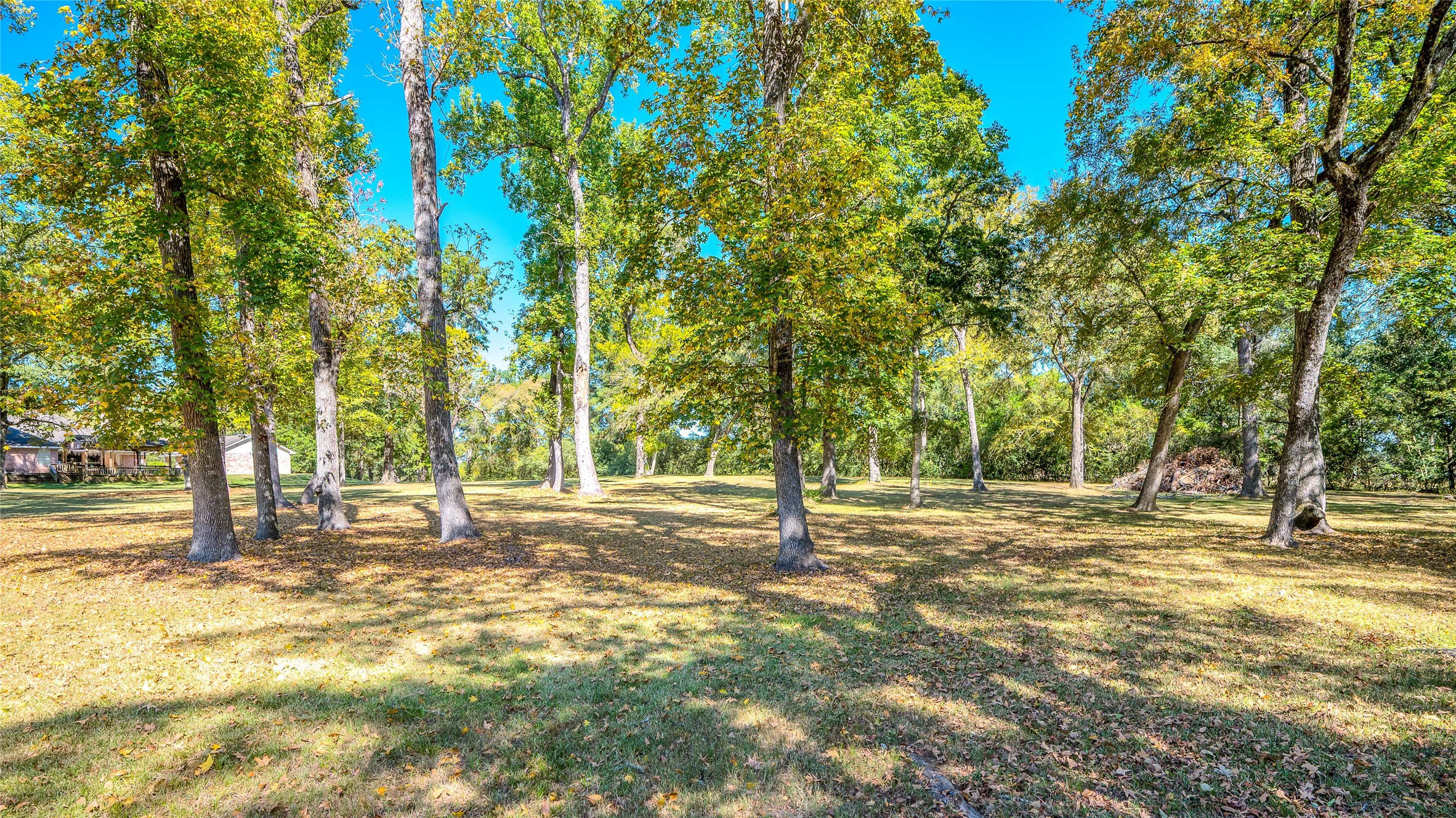 27843 Krezdorn Road Hockley, TX 77447 - Photo 22 of 48