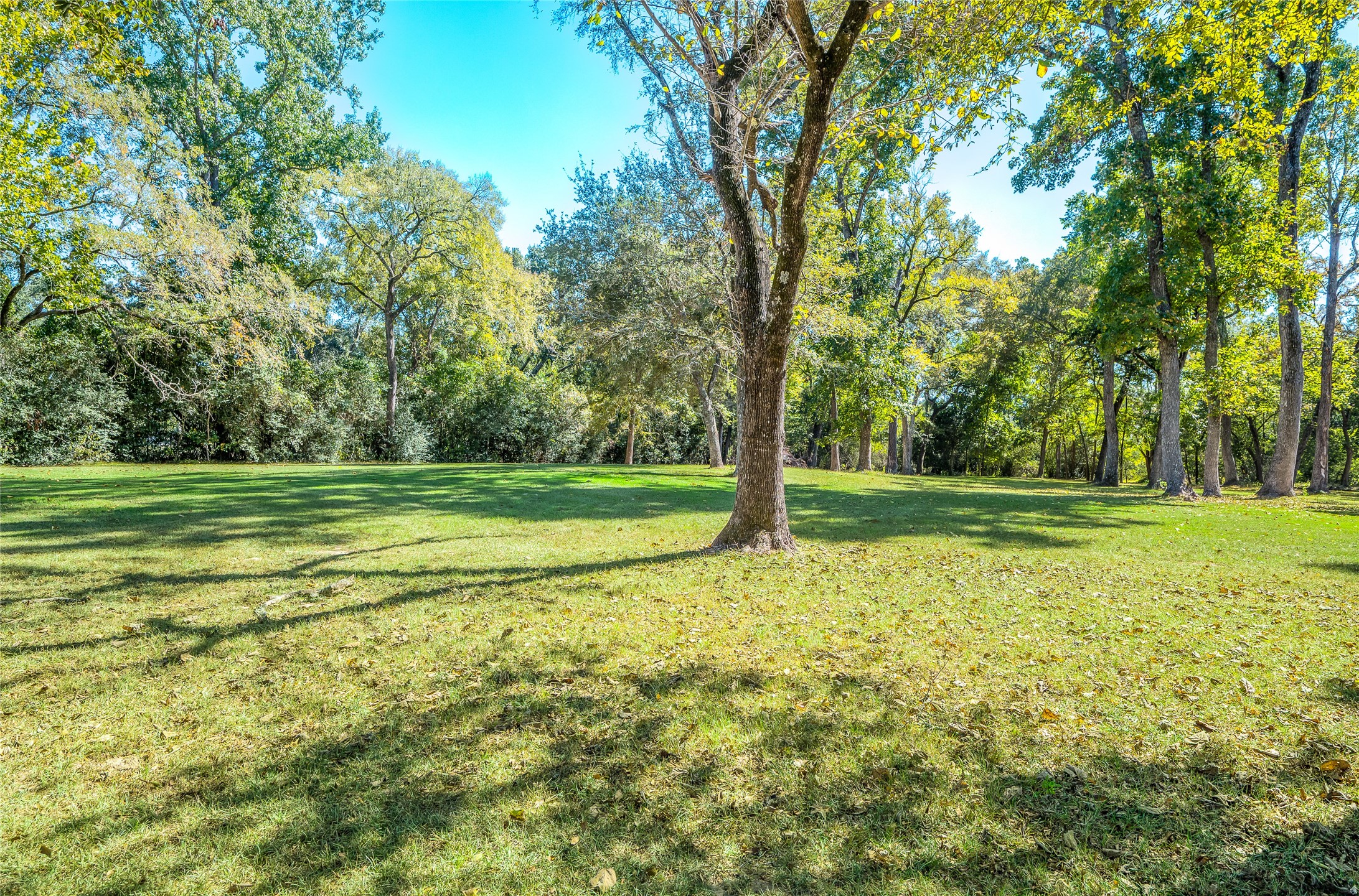 27843 Krezdorn Road Hockley, TX 77447 - Photo 27 of 48