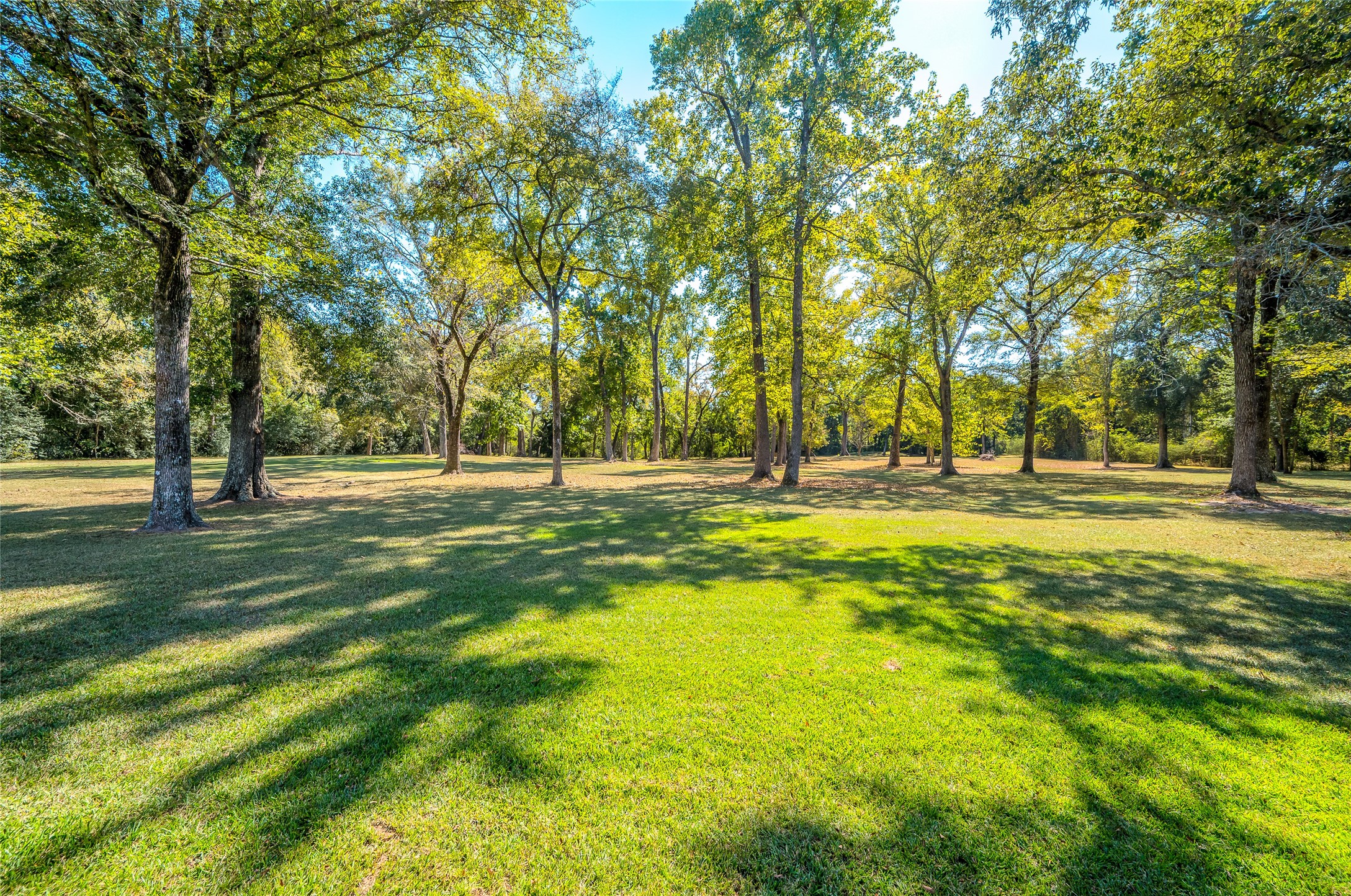 27843 Krezdorn Road Hockley, TX 77447 - Photo 28 of 48
