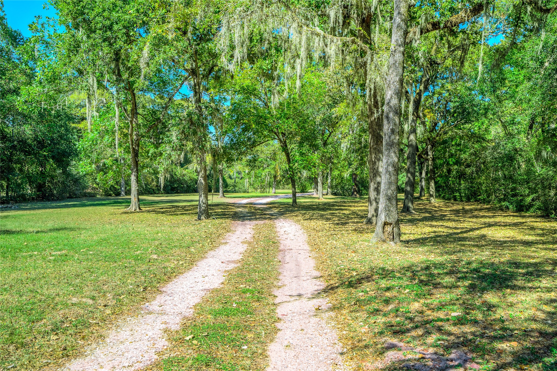 27843 Krezdorn Road Hockley, TX 77447 - Photo 10 of 48