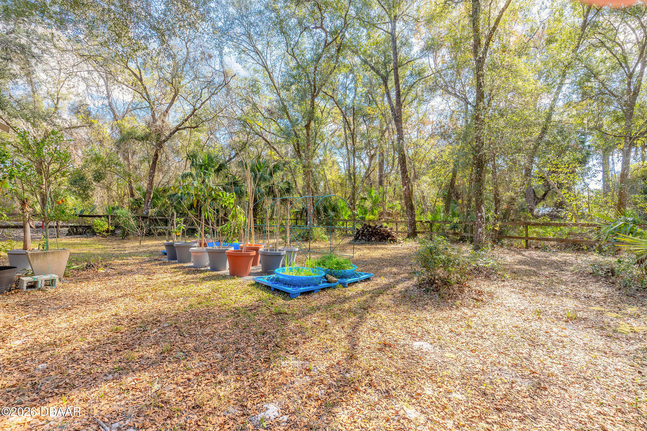 1501 Dillard Road Astor, FL 32102 - Photo 34 of 49 1501-36