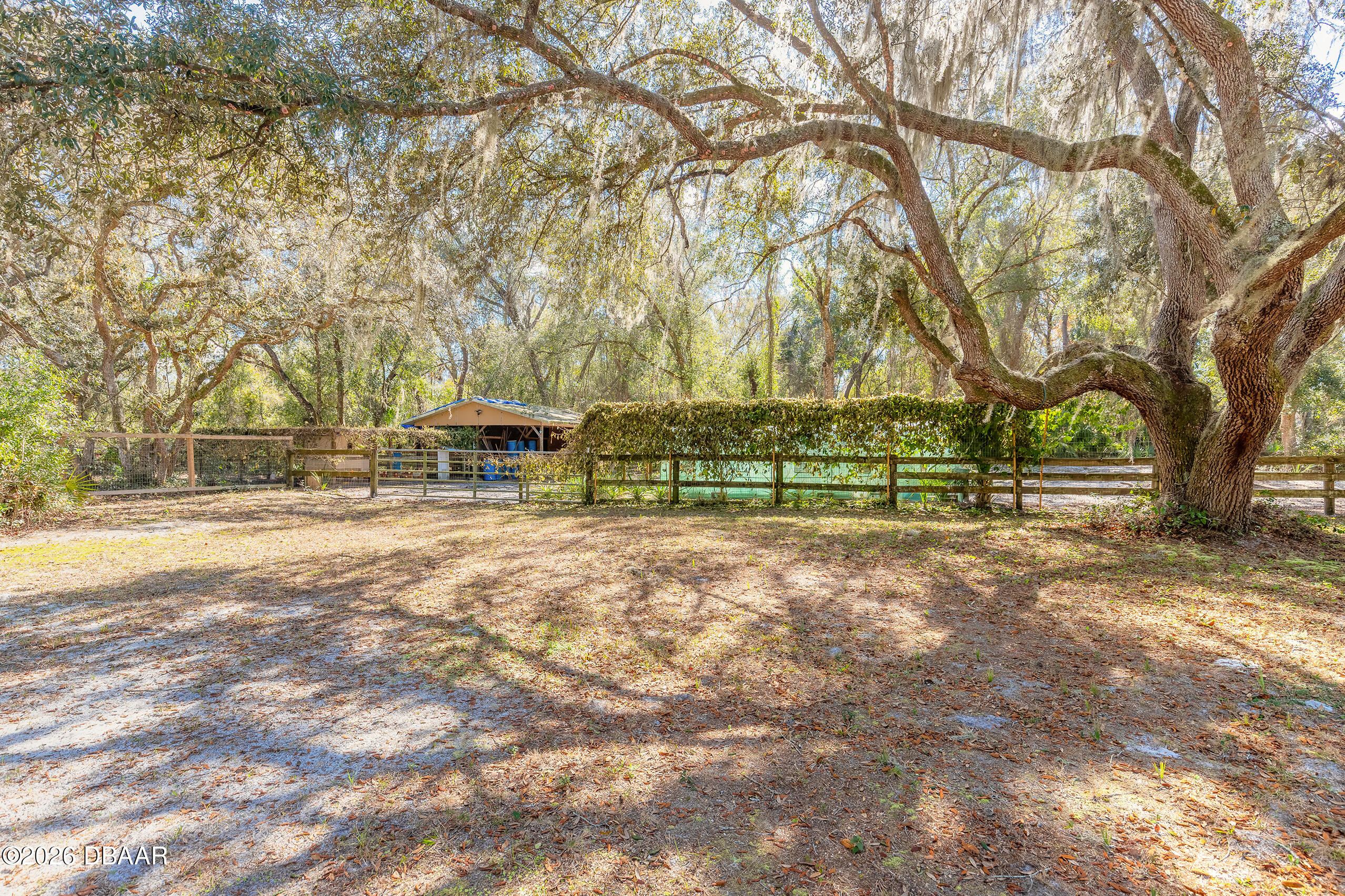 1501 Dillard Road Astor, FL 32102 - Photo 35 of 49 1501-9