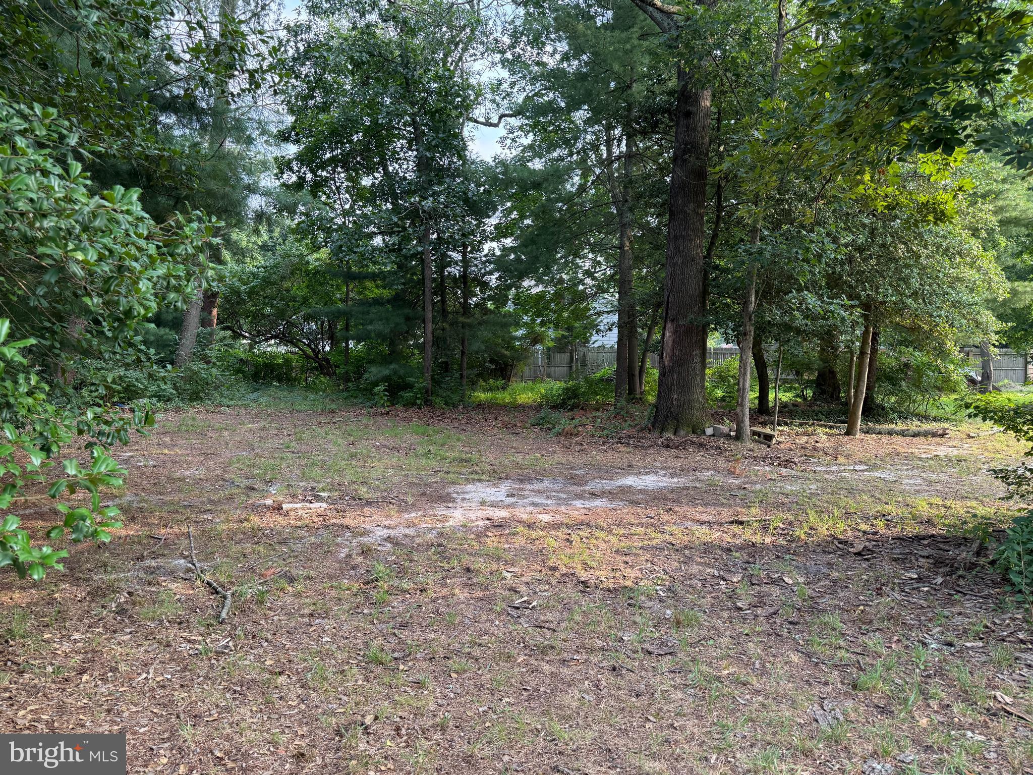 217 Carmel Road Millville, NJ 08332 - Photo 20 of 23 a view of a forest with trees in the background