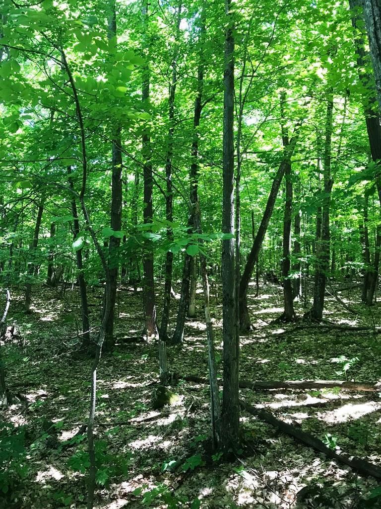 West Whitefish Bay Road Sturgeon Bay, WI 54235 - Photo 8 of 28