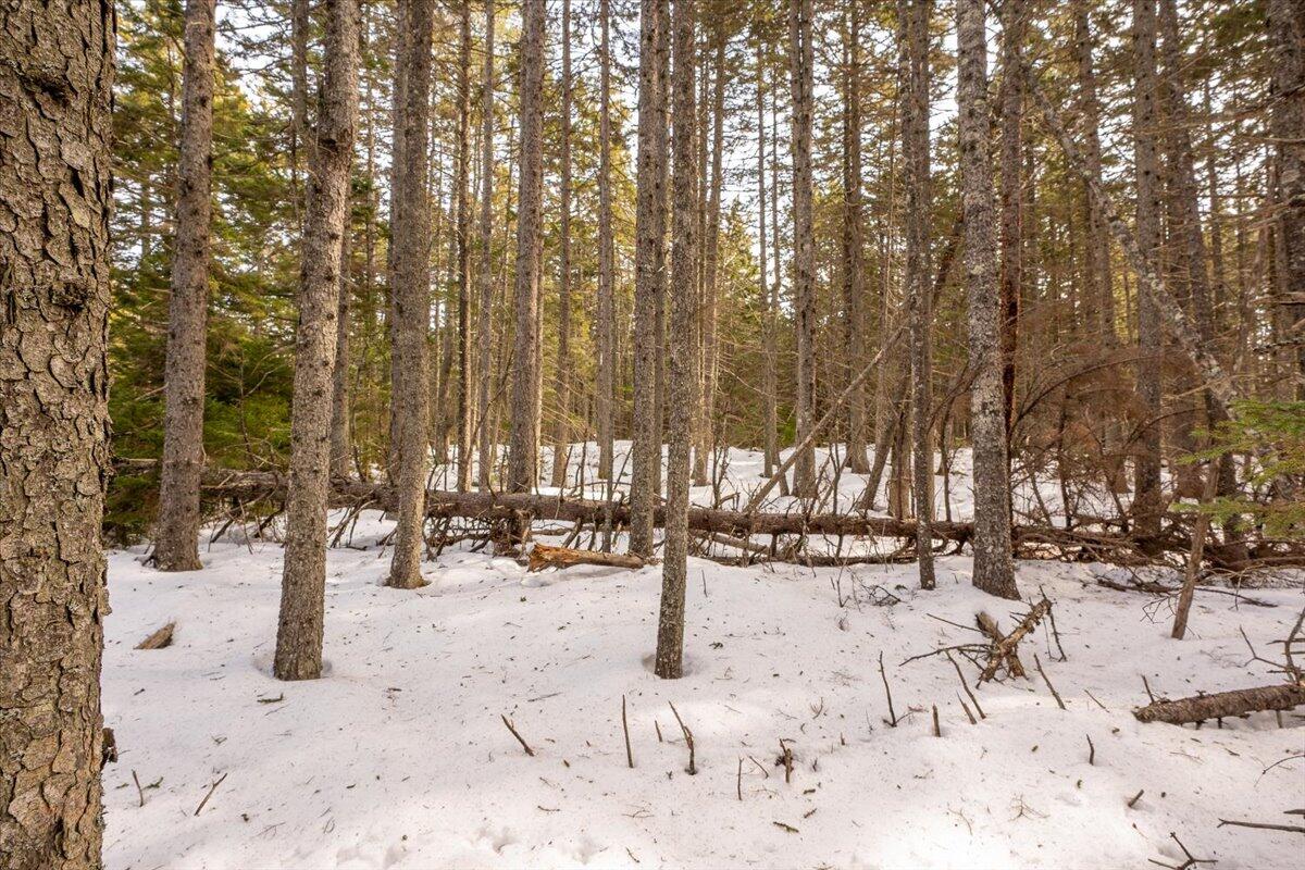 Lot 13 Nahanada Road New Harbor, ME 04554 - Photo 44 of 94 31-Nahanda-27