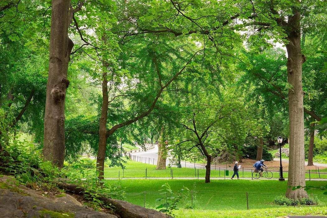 61 East 77th Street, Unit 3EF Manhattan, NY 10075 - Photo 11 of 12 a huge green field with lots of trees