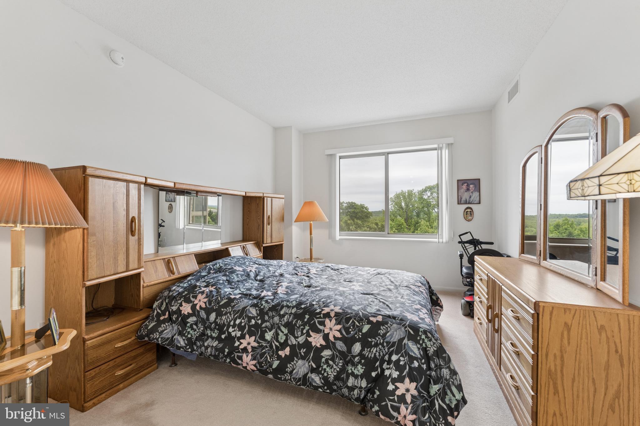 19355 Cypress Ridge Terrace, Unit 314 Leesburg, VA 20176 - Photo 14 of 49 Primary suite with sweeping views