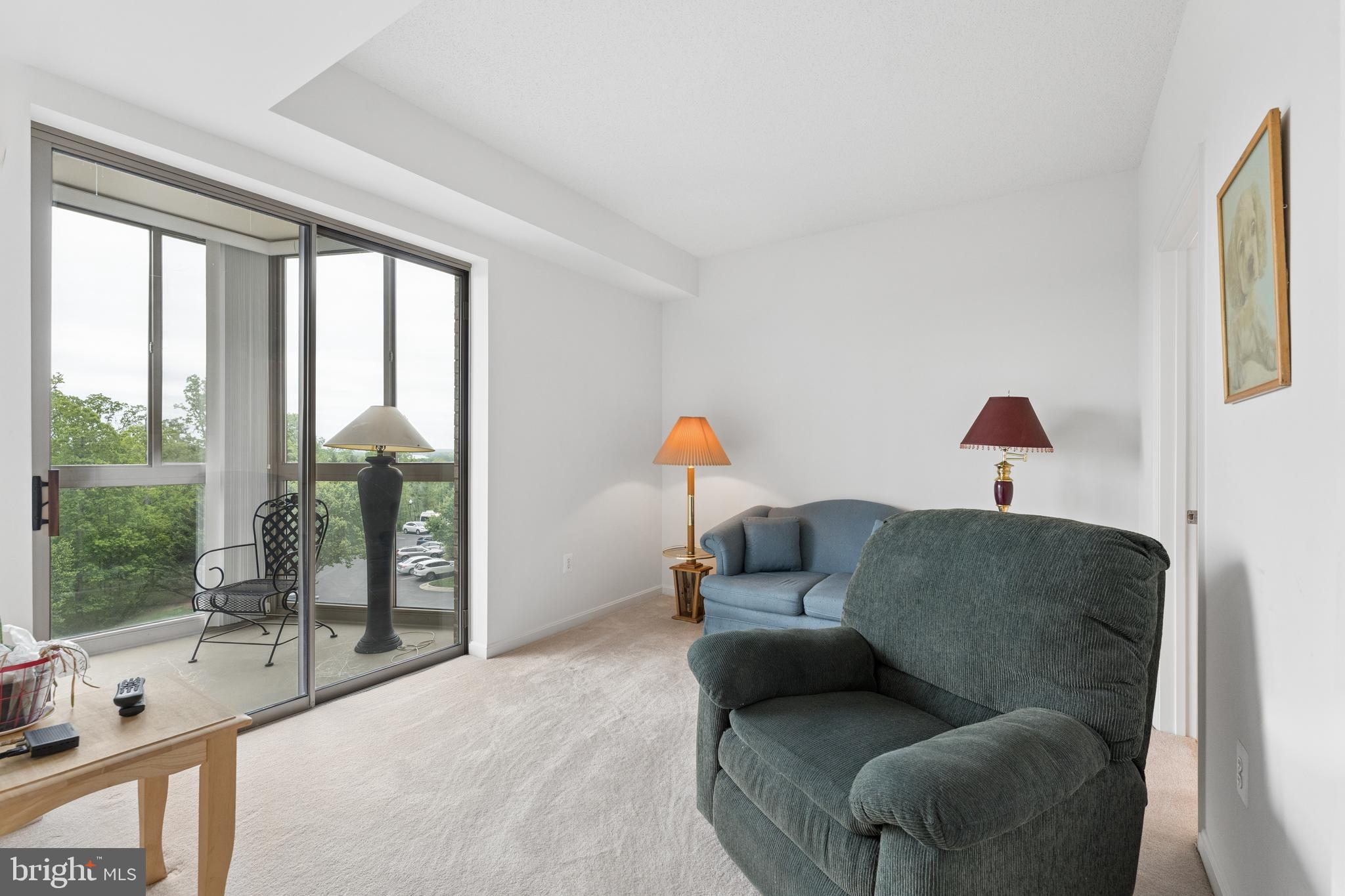 19355 Cypress Ridge Terrace, Unit 314 Leesburg, VA 20176 - Photo 23 of 49 Secondary bedroom with sliders to the balcony