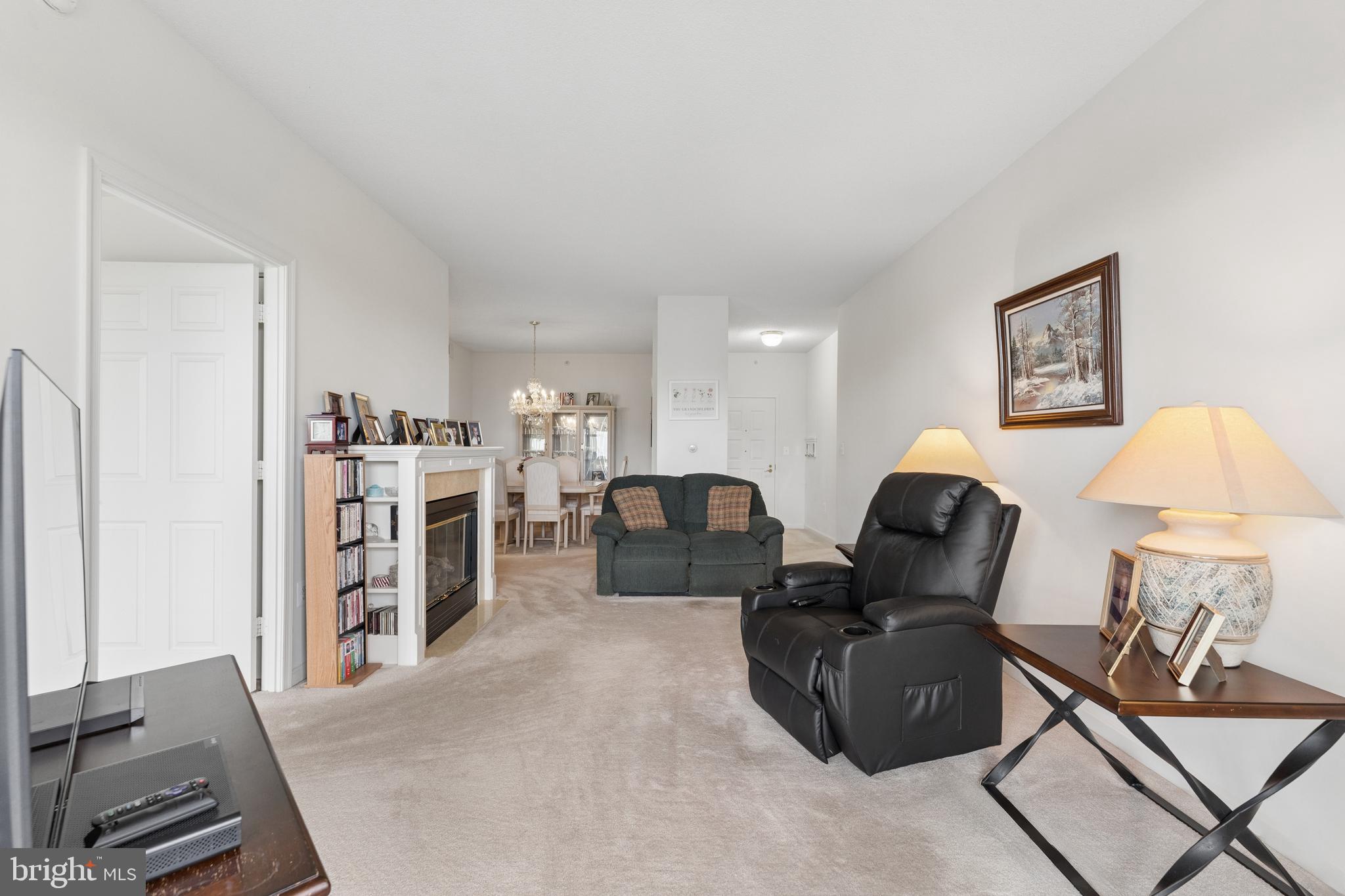 19355 Cypress Ridge Terrace, Unit 314 Leesburg, VA 20176 - Photo 3 of 49 Living room with fireplace