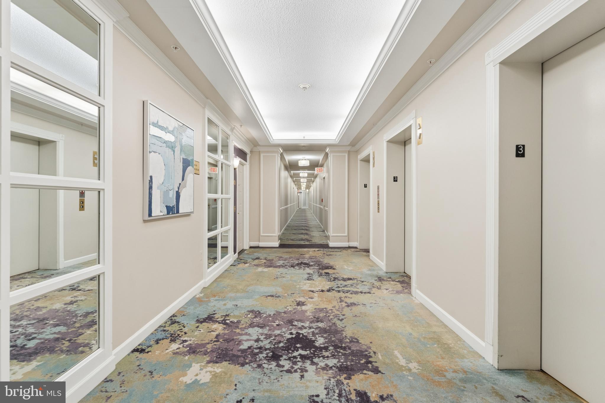 19355 Cypress Ridge Terrace, Unit 314 Leesburg, VA 20176 - Photo 33 of 49 Riverview hallways