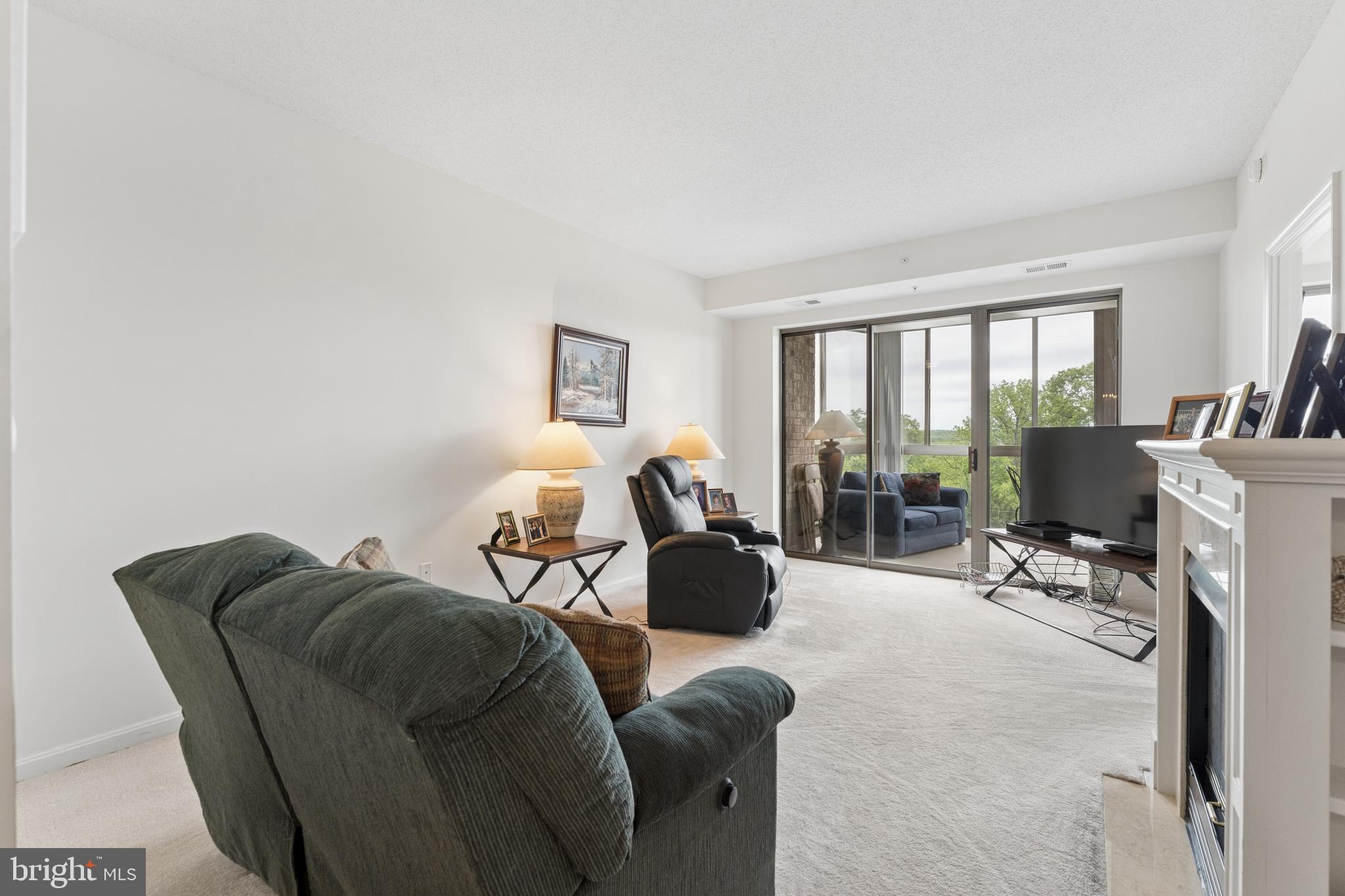 19355 Cypress Ridge Terrace, Unit 314 Leesburg, VA 20176 - Photo 4 of 49 Living room with sliders to glass enclosed balcony