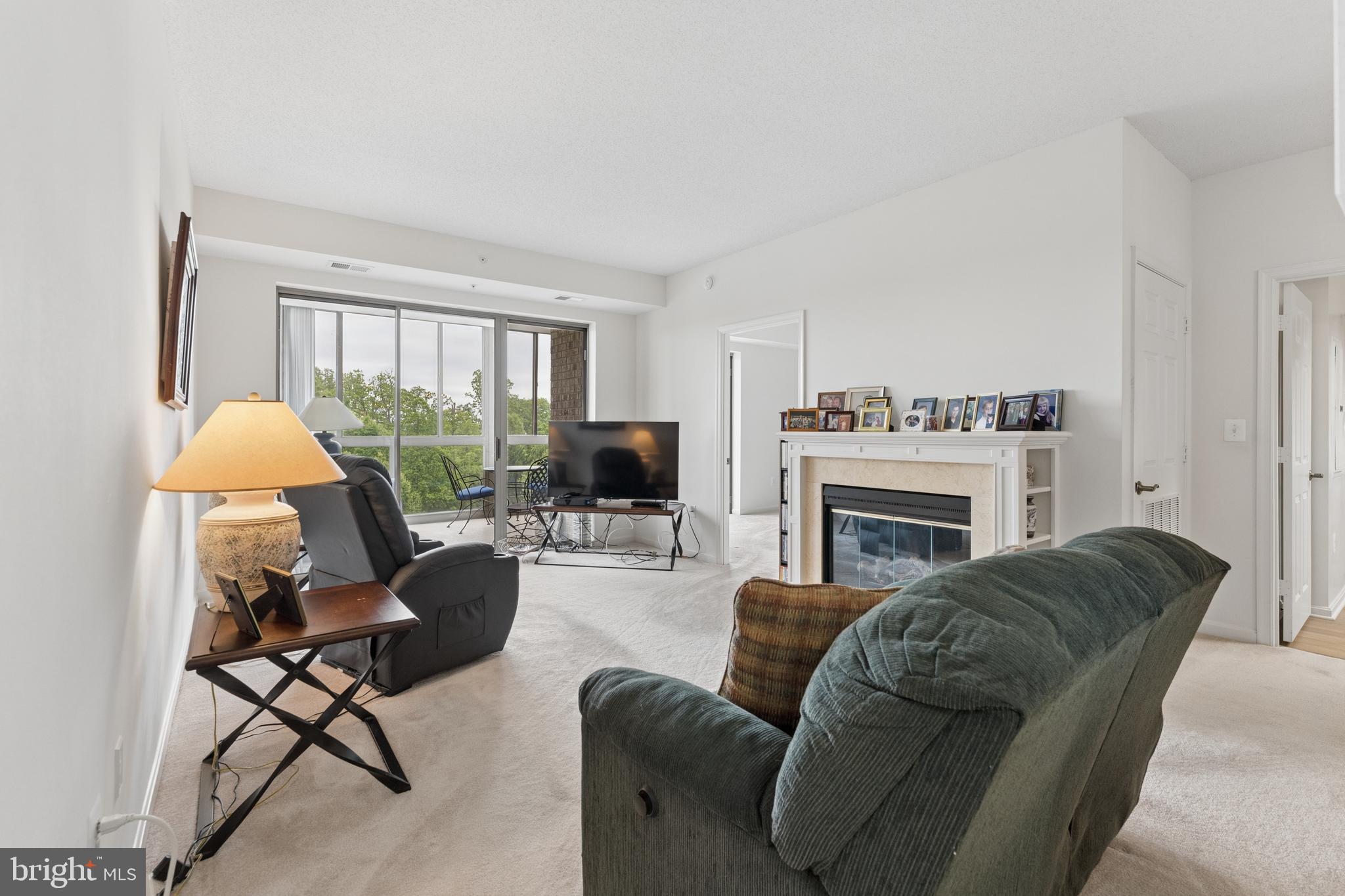 19355 Cypress Ridge Terrace, Unit 314 Leesburg, VA 20176 - Photo 5 of 49 Living room with fireplace
