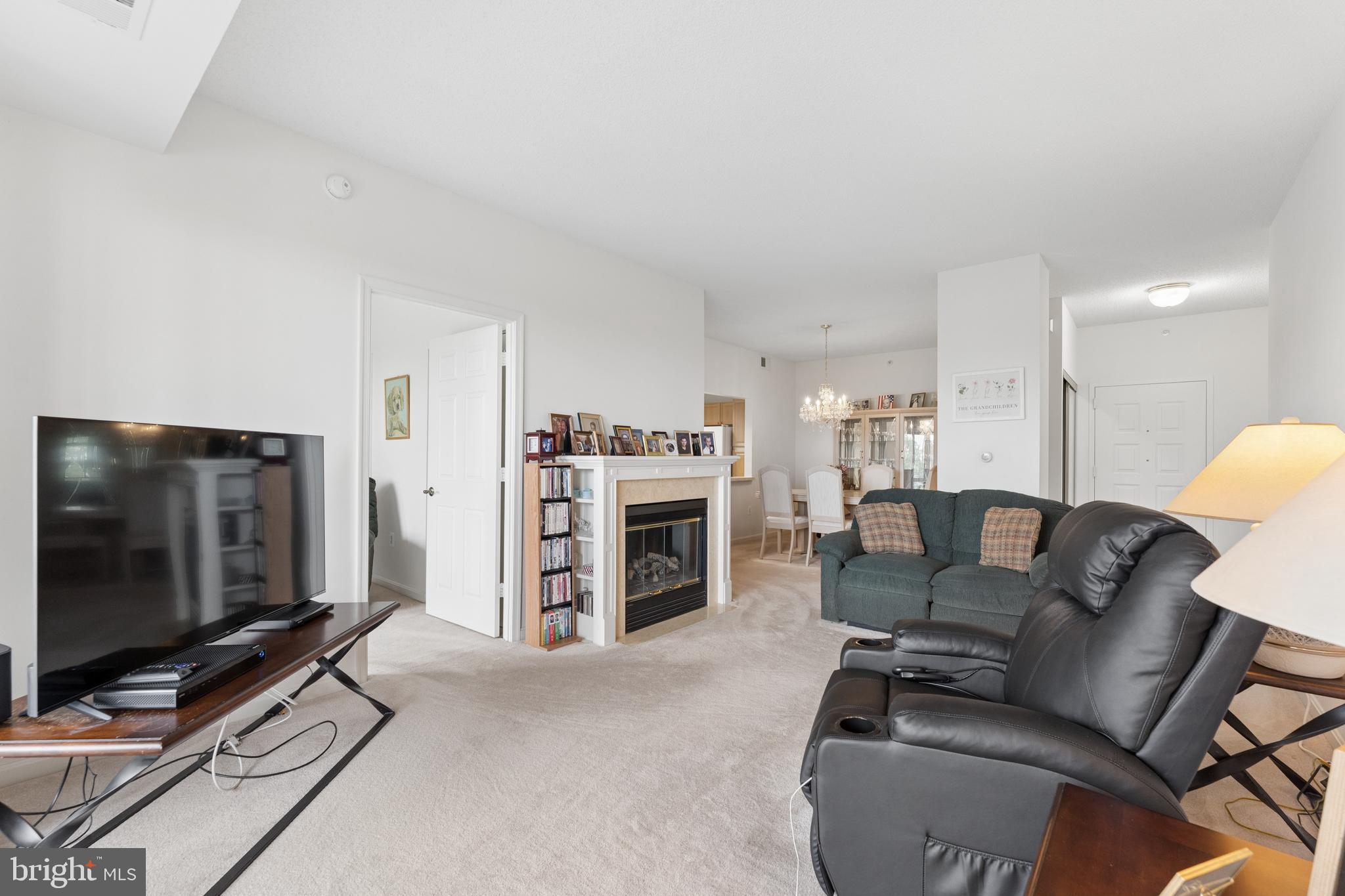19355 Cypress Ridge Terrace, Unit 314 Leesburg, VA 20176 - Photo 6 of 49 Fireplace with built ins on both sides
