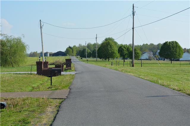 282 Thurman Kepley Road Portland, TN 37148 - Photo 11 of 11 The road leading home - View from front of house
