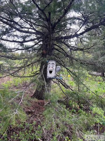 $309,900 | 53 Squaw Creek Road, Bancroft, ID 83217