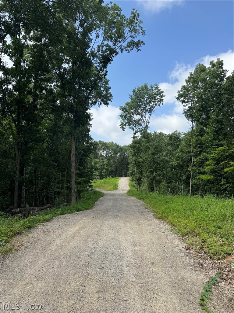 Hill Road Portsmouth, OH 45662 - Photo 10 of 47
