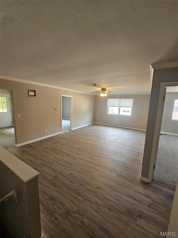 5114 Heege Road Affton, MO 63123 - Photo 5 of 36 Gallery Image 5