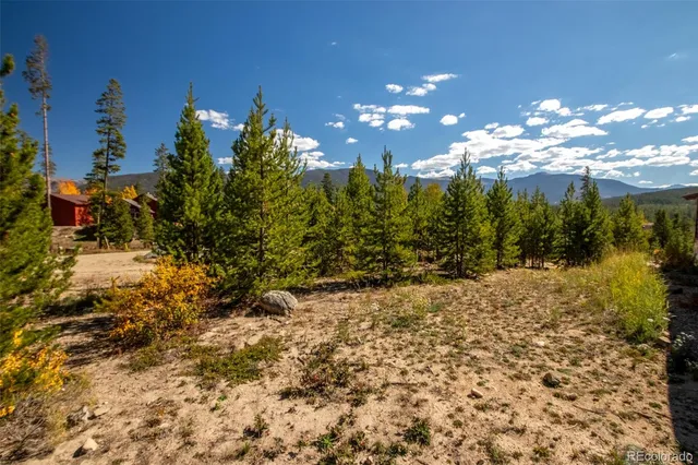 a view of a flower in a garden