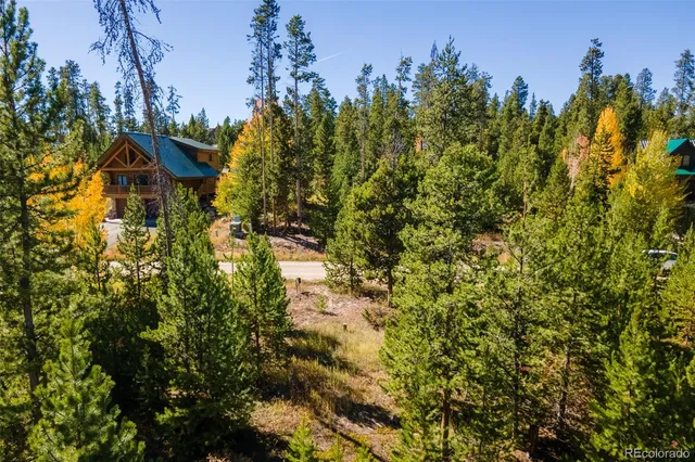 a view of a tree with a yard