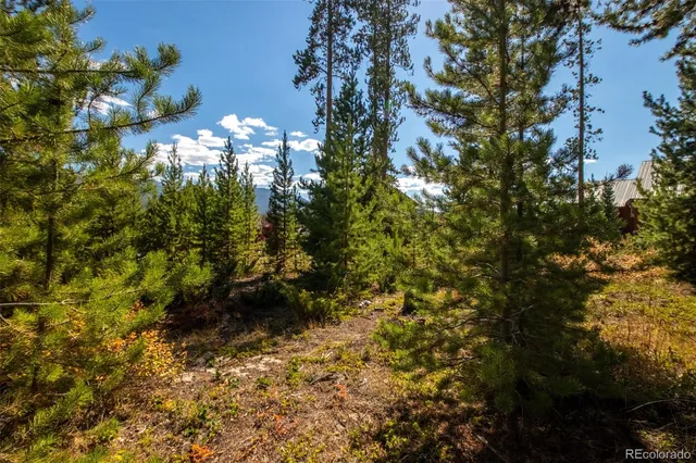 a view of a lake with large tree