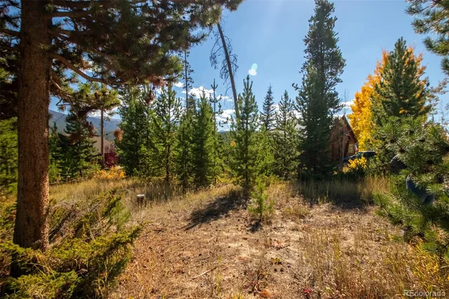 a view of a tree in a yard
