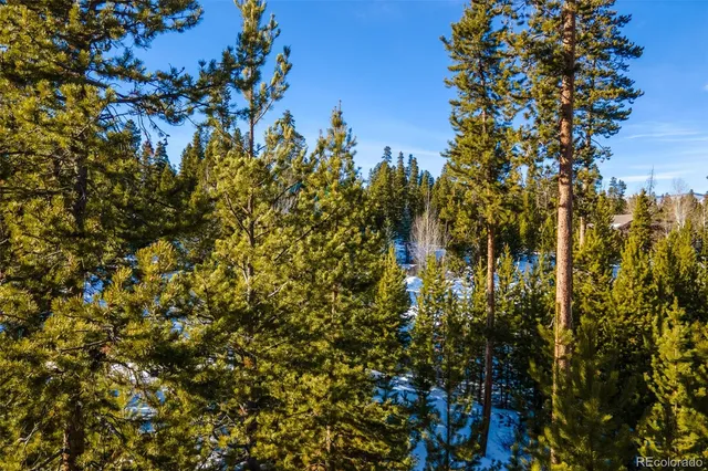 a picture of city view