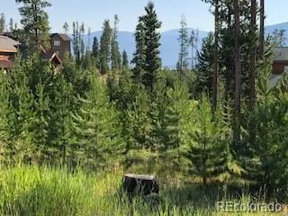 a view of a lake from a yard
