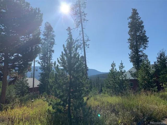 a view of a lake with a tree in the background