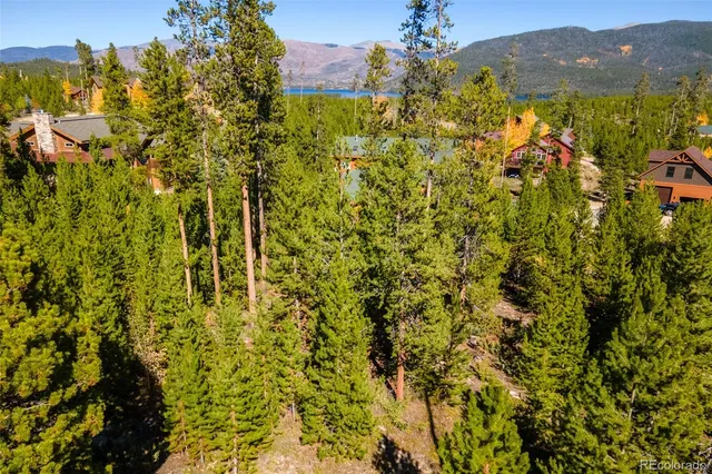 a view of a bunch of trees and houses