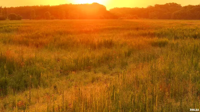 $3,510,500 | 0 East 1200th Road, London Mills, IL 61544