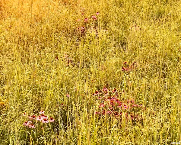 $3,510,500 | 0 East 1200th Road, London Mills, IL 61544