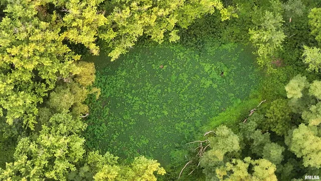 $3,510,500 | 0 East 1200th Road, London Mills, IL 61544