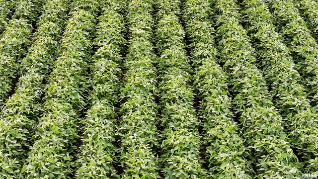 $3,510,500 | 0 East 1200th Road, London Mills, IL 61544